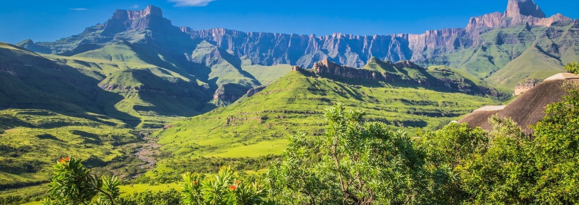 Les Terres des Arcanes Verts