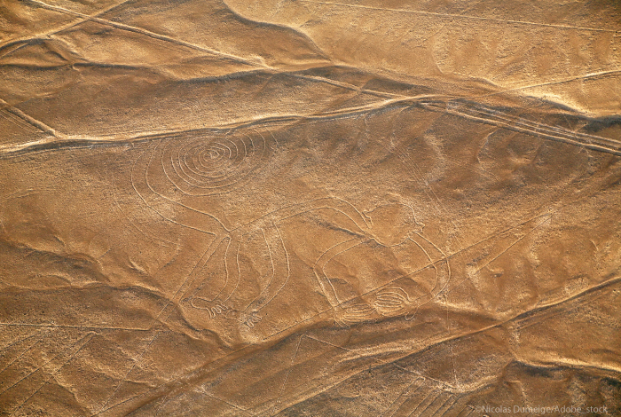 ligne-nazca-signe-relief